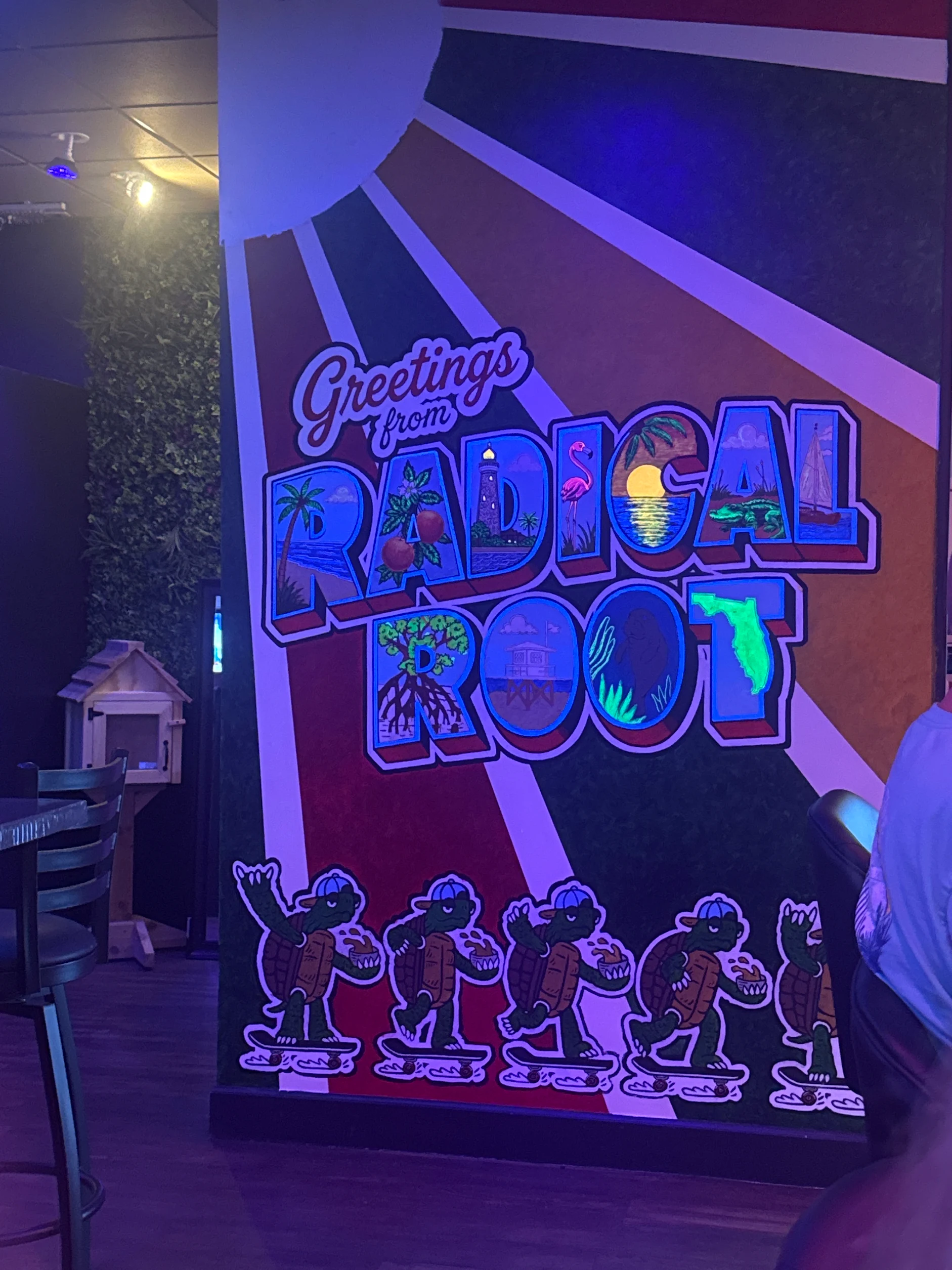 Colorful interior mural at Radical Root Kava Bar