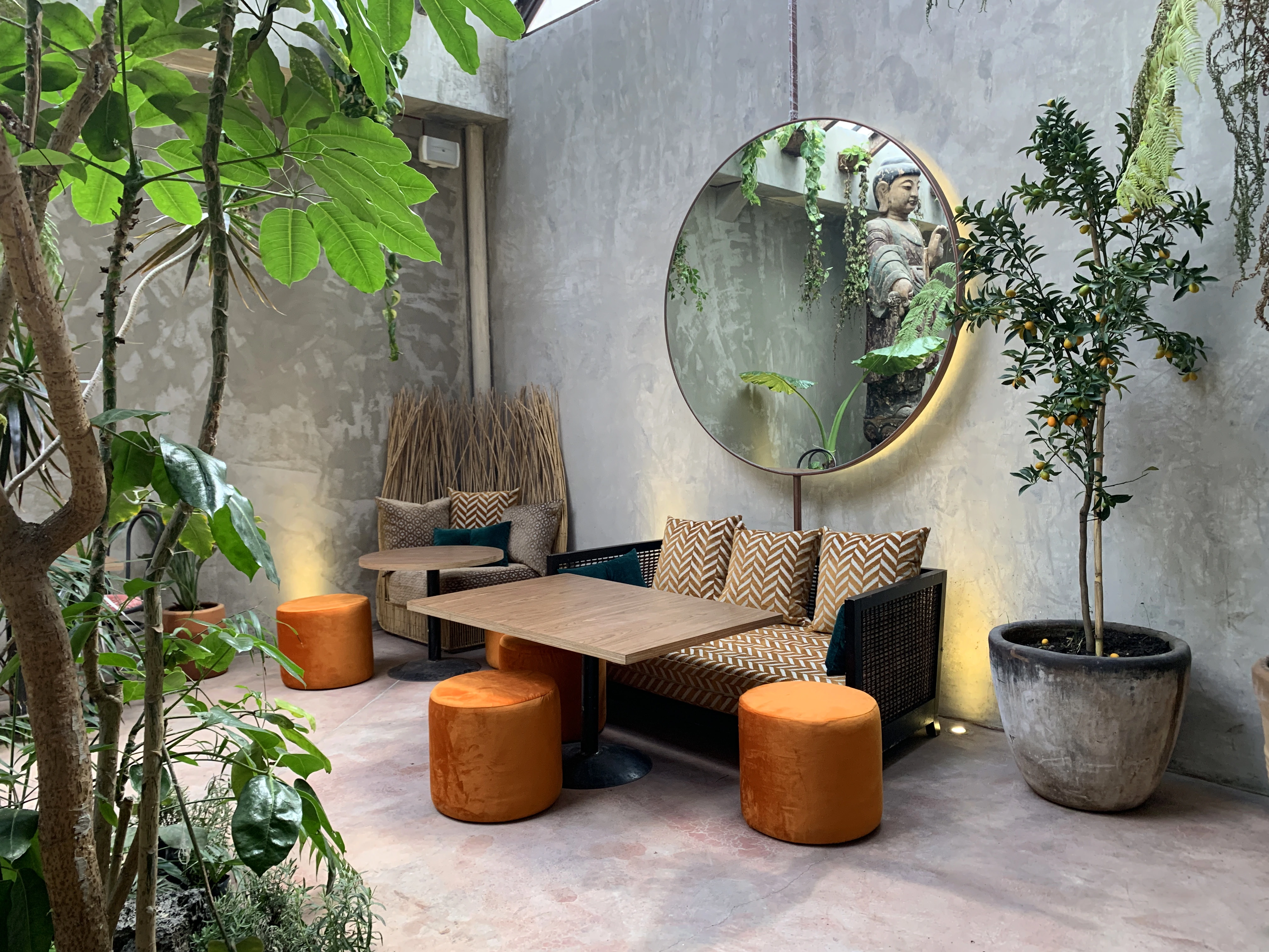 Plantasia in Mexico City, CIUDAD DE MÉXICO