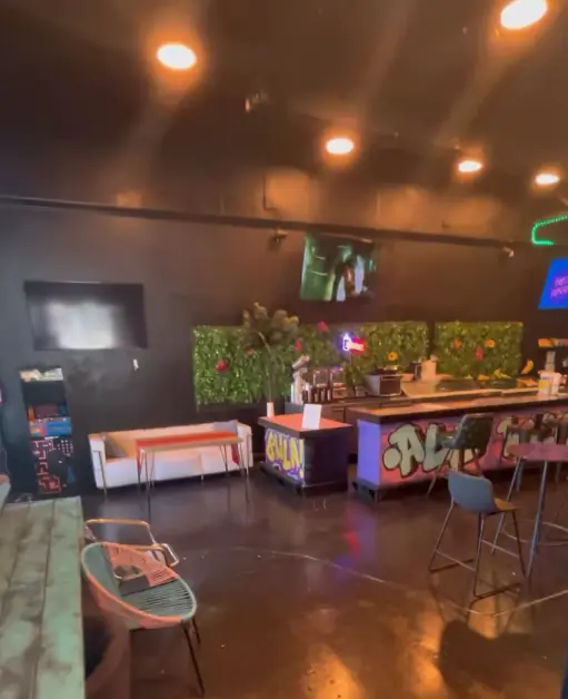 Lounge chairs, murals, and the plant wall at The Social Blend